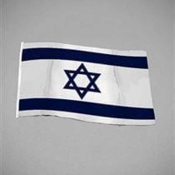 24616-00001_210_nationsflagga-israel.jpg