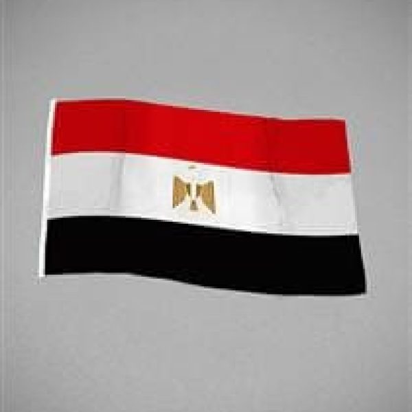 25221-00000_210_nationsflagga-egypten.jpg